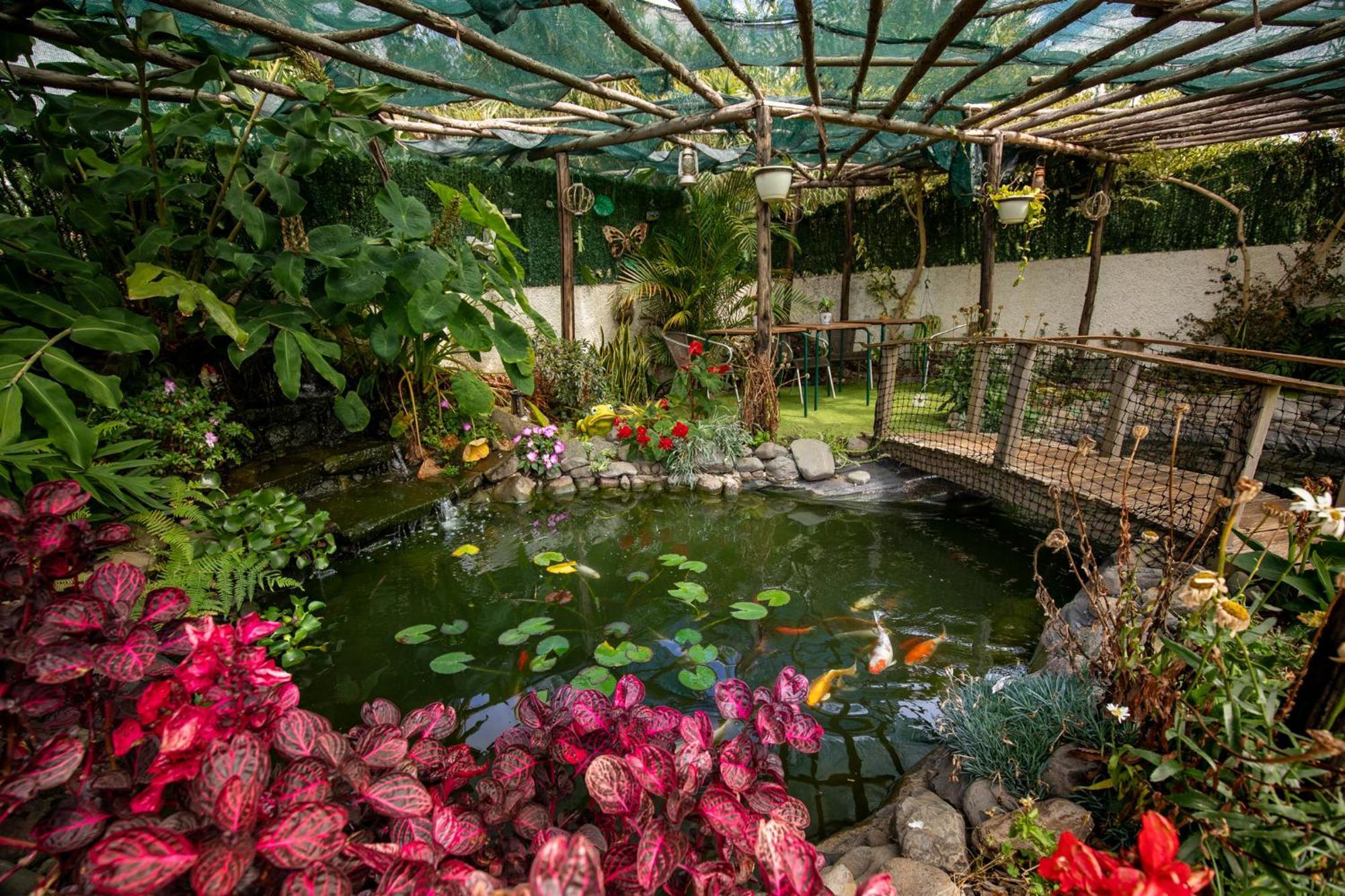 Levada House Prazeres Villa Dış mekan fotoğraf