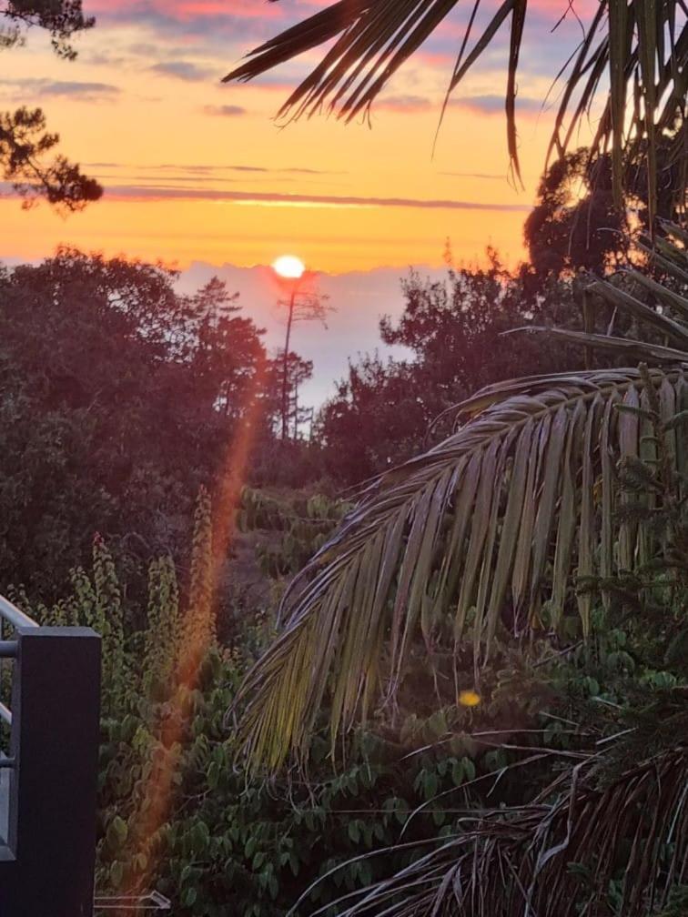 Levada House Prazeres Villa Dış mekan fotoğraf